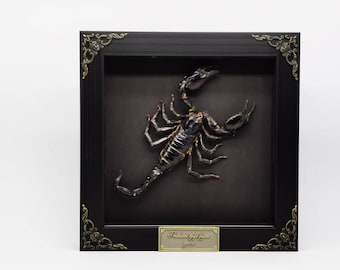 現在、この商品の在庫はありません - Etsy