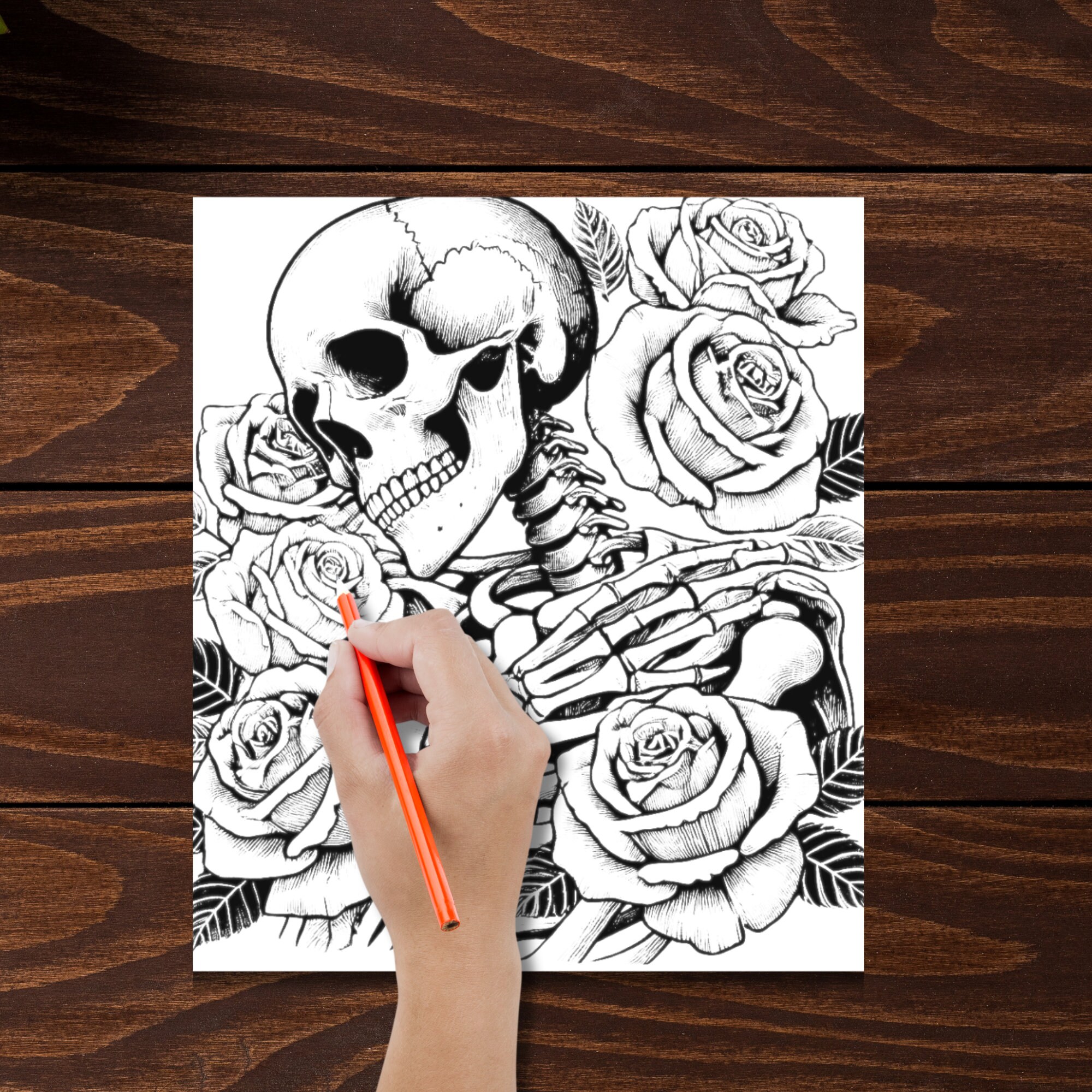 Skulls and Roses Coloring Pages from Etsy