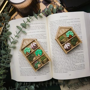 Puede incluir: Dos estanterías de madera en miniatura con forma de casa, cada una con cuatro pequeñas y coloridas plantas suculentas. Las estanterías están sobre un libro abierto. Vegetación y una vela en el fondo, tema botánico.