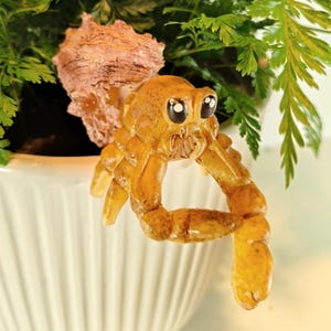 May include: A whimsical, handcrafted crab figurine with large, expressive eyes and a shell. The crab is a warm amber color, perched on a white pot with green foliage in the background. A unique decorative accent.