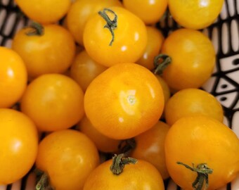 Ghevici Microdwarf Tomato Seeds - Heirloom Tomato Seeds - Grown Organically in Canada