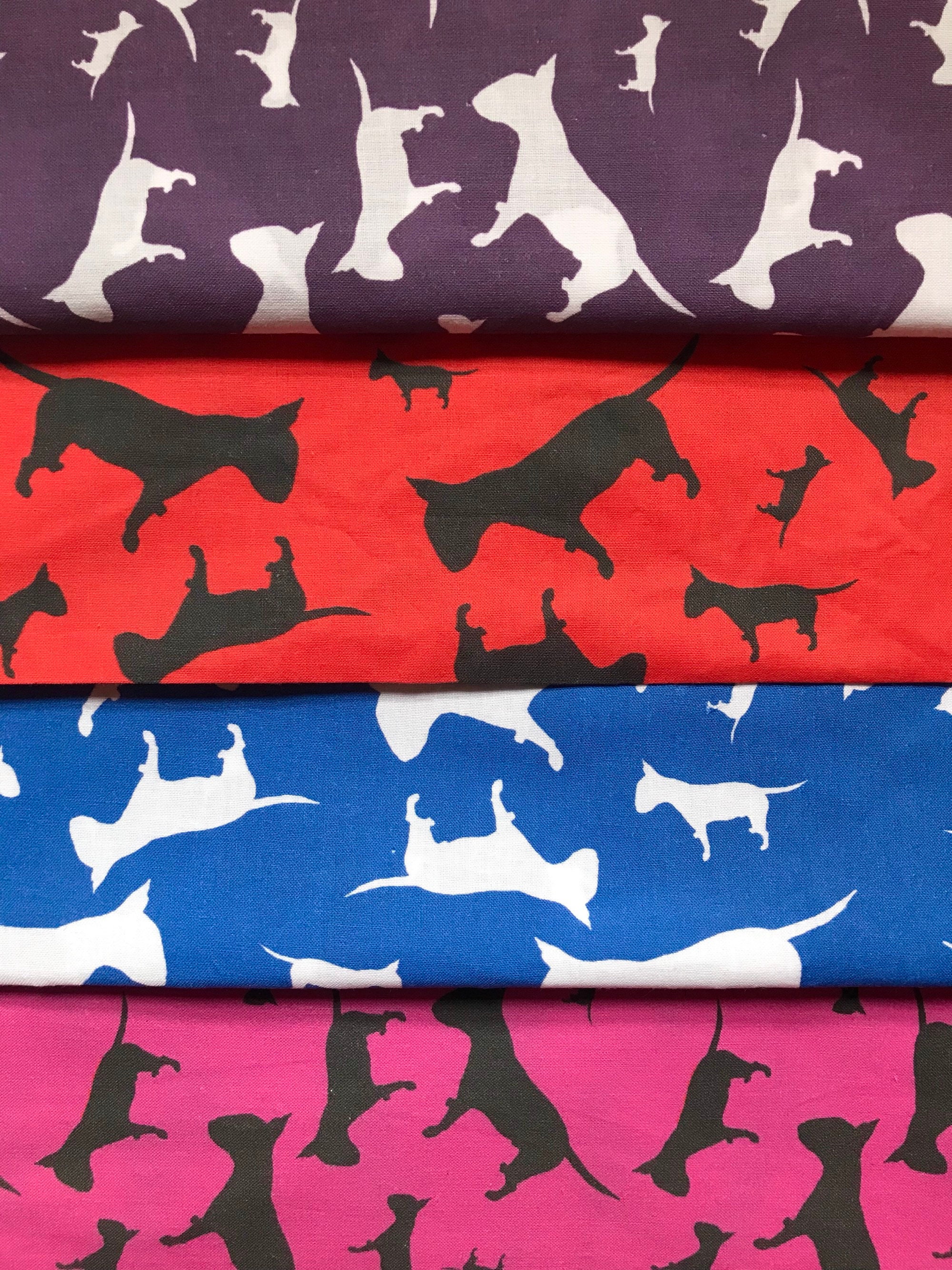 Rosa blau lila English Red Bull Terrier EBT Hund ...