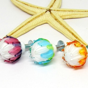 Könnte beinhalten: Drei gläserne Schrankknöpfe mit einem weißen Kern und einer bunten Außenhülle. Die Knöpfe sind rosa, blau und grün sowie orange. Die Knöpfe werden vor einem weißen Hintergrund mit einem Seestern gezeigt.