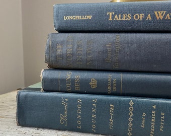 Eclectic Stack of Books for Aesthetic Room Decor. Poetry Literature Historical Fiction for Antique Library Bookshelf Decor.