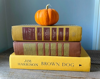 Fall Home Decor. Decorative Used Books for Aesthetic Vintage Room Decor. 70s Mid Century Modern Retro Bookshelf Decor. Warm Earthy Style.
