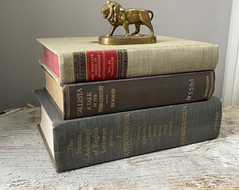 Old Stack of Lovely Used Books. Aesthetic Vintage Room Decor. Literature Book Set of 3. Bookish Living Room Deco for the Poetry Bookworm.