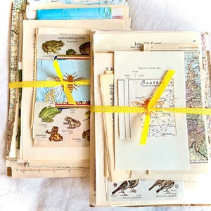 May include: A collection of vintage ephemera, including maps, illustrations of frogs and birds, and other paper ephemera, tied with a yellow polka dot ribbon. The papers have a variety of colors and textures, creating a collage-like appearance.