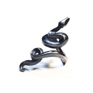May include: A silver snake ring with a coiled body and a raised head.