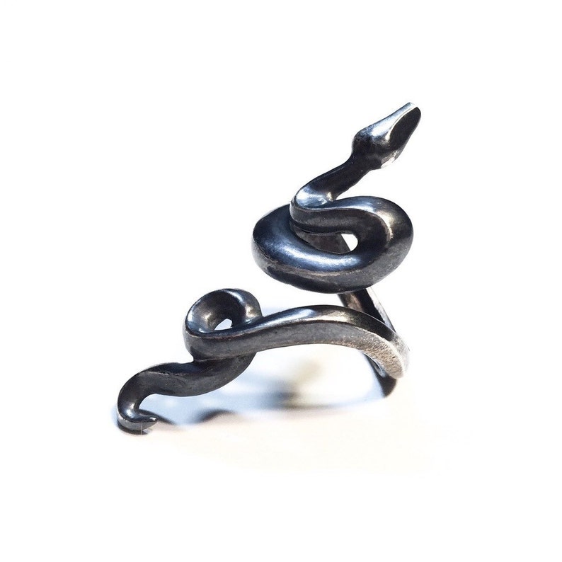 May include: A silver snake ring with a coiled body and a raised head.