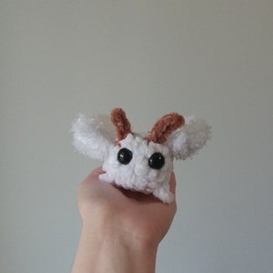 Lindo caniche de peluche de polilla diminuto de ganchillo