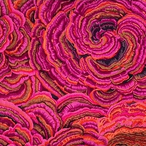 30&quot; bolt end  Tree Fungi in pink. by Philip Jacobs