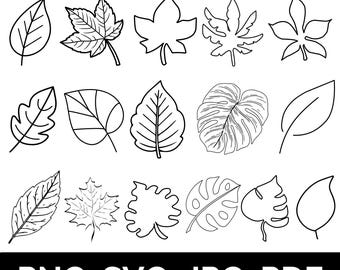 Leaf Outlines Vector Bundle | SVG, PNG, PDF (Digital Download)