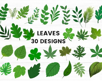 Paper Leaves SVG/ Leaf Templates/ Cut Files for Cricut/ Silhouette/ Clipart/ Vector/JPG/PNG