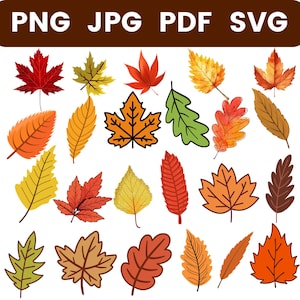 Fall Leaves SVG Bundle: Autumn Clipart, Cricut Cut Files