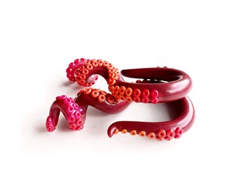 10mm Gauge Tentacle Taper Spiral Earrings for Stretched Lobes Pink Orange and Dark Red Ombre