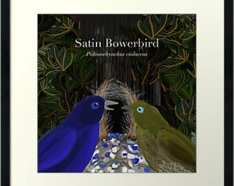 Bowerbirds pairs digital PNGs download limited 500