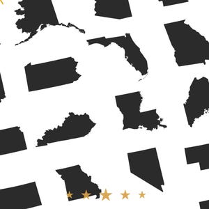 May include: Black and white silhouette outlines of the United States of America. Each state is shown individually, with no borders or other markings.