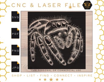 Cute Jumping Spider Detailed SVG | Spider Vector File | Pet Spider Svg File | Jumping Spiders Svg |  Spider Laser Art | Cnc and Laser File