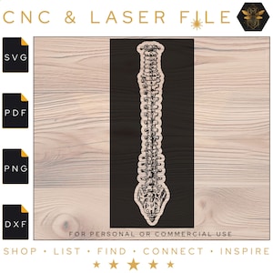 Detailed Spine SVG File | Detailed Spine | Anatomy Vector File | Medical Wall Art & Décor | Chiropractor Laser File | Svg | Pdf | PNG | DXF
