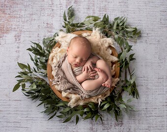 Fondo digital Neutral Birdseye, telón de fondo digital, Birdseye, cuenco neutro, telón neutro, telón de fondo neutro para recién nacidos