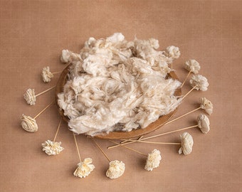 Fondo digital Neutral Birdseye, telón de fondo digital, Birdseye, cuenco neutro, telón neutro, telón de fondo neutro para recién nacidos