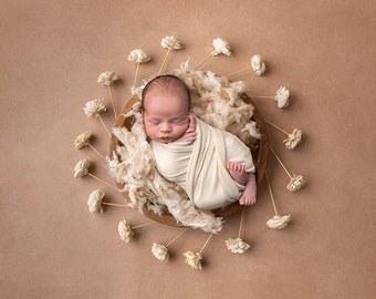 Fondo digital Neutral Birdseye, telón de fondo digital, Birdseye, cuenco neutro, telón neutro, telón de fondo neutro para recién nacidos