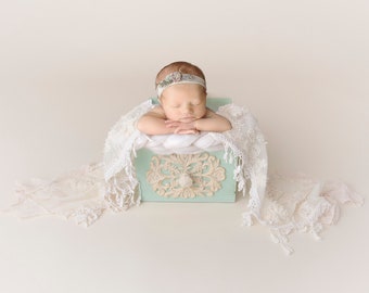 Cream and Green Digital backdrop,  box digital backdrop, Nuetral, Nuetral Digital Backdrop, Lace Greens digital, Newborn