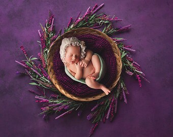 Fondo digital floral púrpura oscuro, telón de fondo digital, corazones de pájaro, floral púrpura, púrpura, cuenco de ojo de pájaro digital, telón de fondo recién nacido