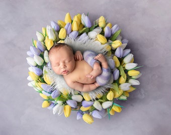 Tulips Digital backdrop, birdseye digital backdrop, Easter Digital Background, spring newborn digital,  Easter newborn backdrop, Spring