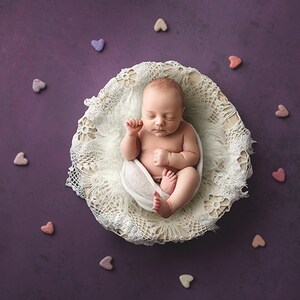 Purple Hearts Digital backdrop, digital backdrop, birdseye bowl hearts, hearts, birdseye bowl digital, newborn backdrop, newborn backdrop