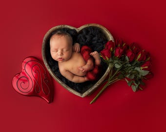 Fondo digital para bebé de San Valentín, fondo digital para recién nacido de San Valentín, fondo de pájaro de San Valentín, bebé de San Valentín, cuenco de corazón, fondo de corazón para recién nacido