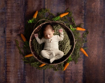 Easter boy Digital backdrop, digital backdrop, Easter Birdseye, Easter Digital Background, newborn digital,  Easter newborn