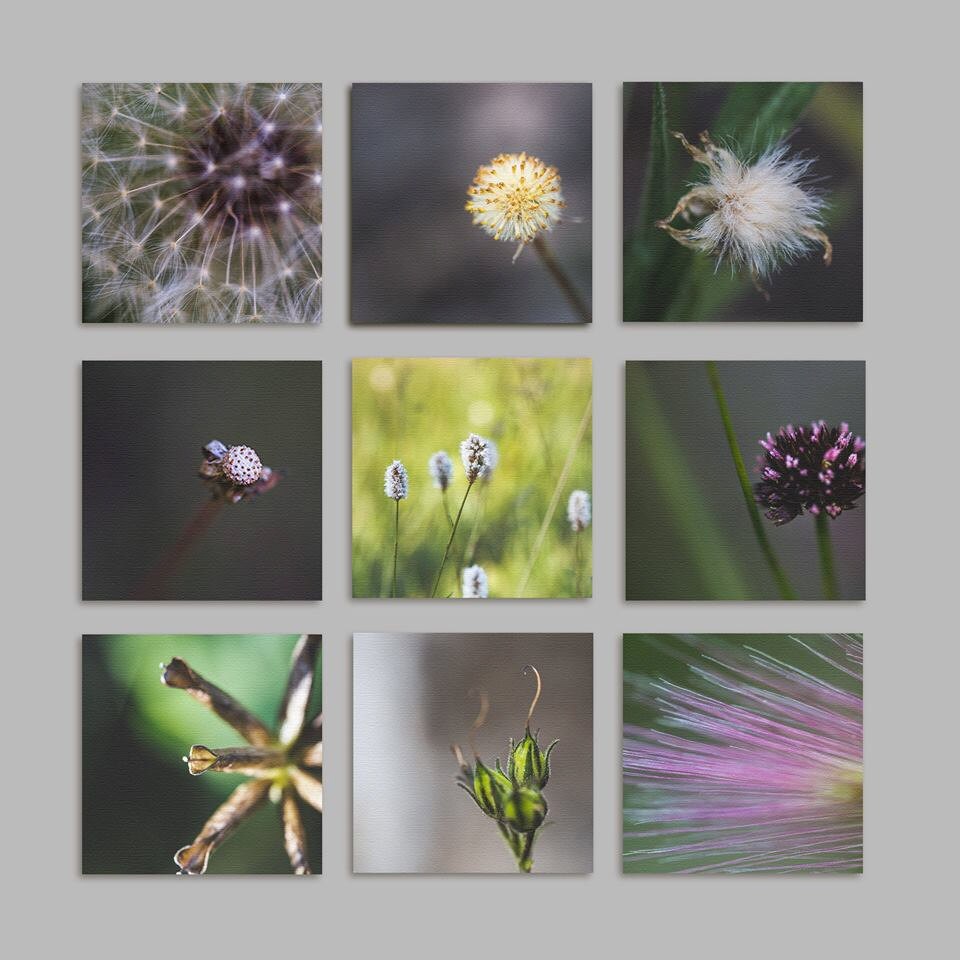 Floral Wall Art | Etsy