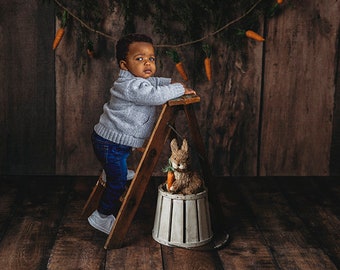 Fondo digital de Pascua, Pascua, conejito de Pascua, zanahorias de Pascua, Telón de fondo digital, Telón de fondo de primavera, Primavera Digital, Primavera