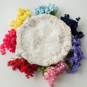 Rainbow Floral Digital backdrop, digital backdrop, birdeye bowl floral, rainbow baby digital, newborn backdrop, newborn backdrop