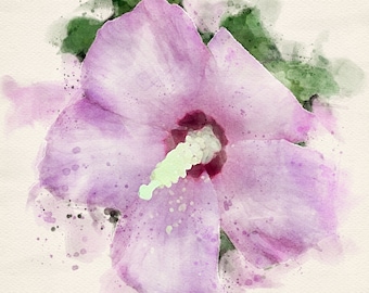 Summer rose of sharon watercolor DIGITAL DOWNLOAD PDF print file flower floral