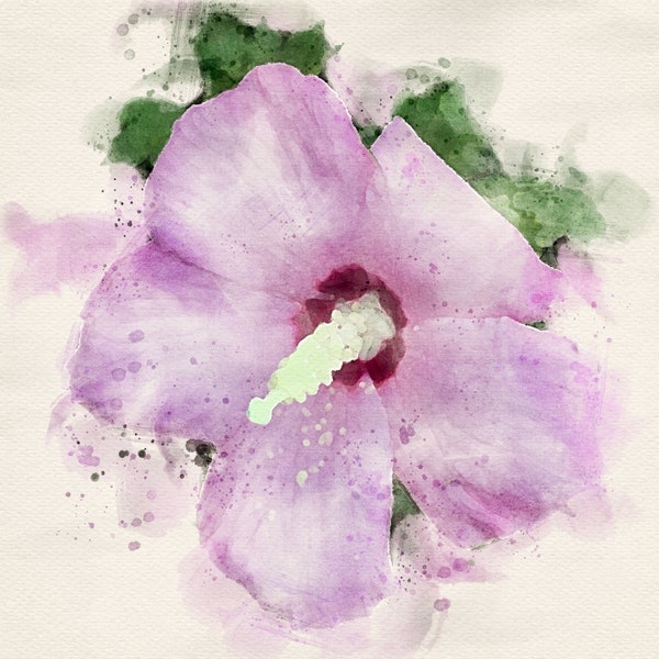 Summer rose of sharon watercolor DIGITAL DOWNLOAD PDF print file flower floral