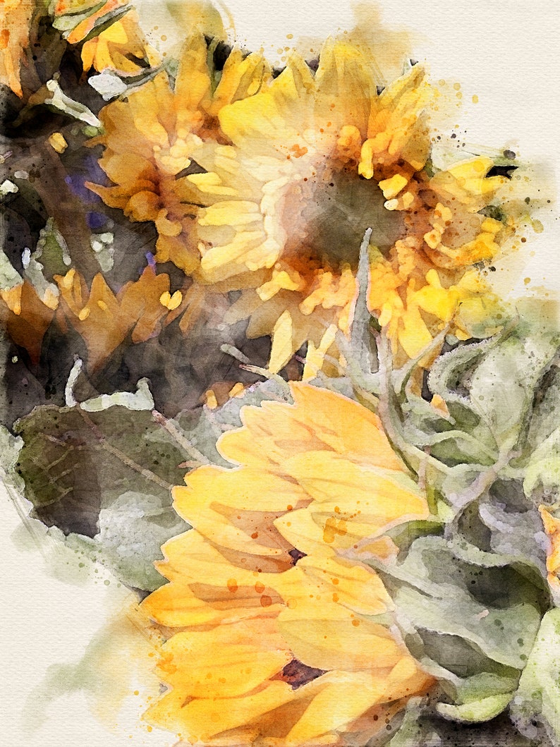 Summer Sunflowers watercolor DIGITAL DOWNLOAD PDF print file flower floral sunflower image 1