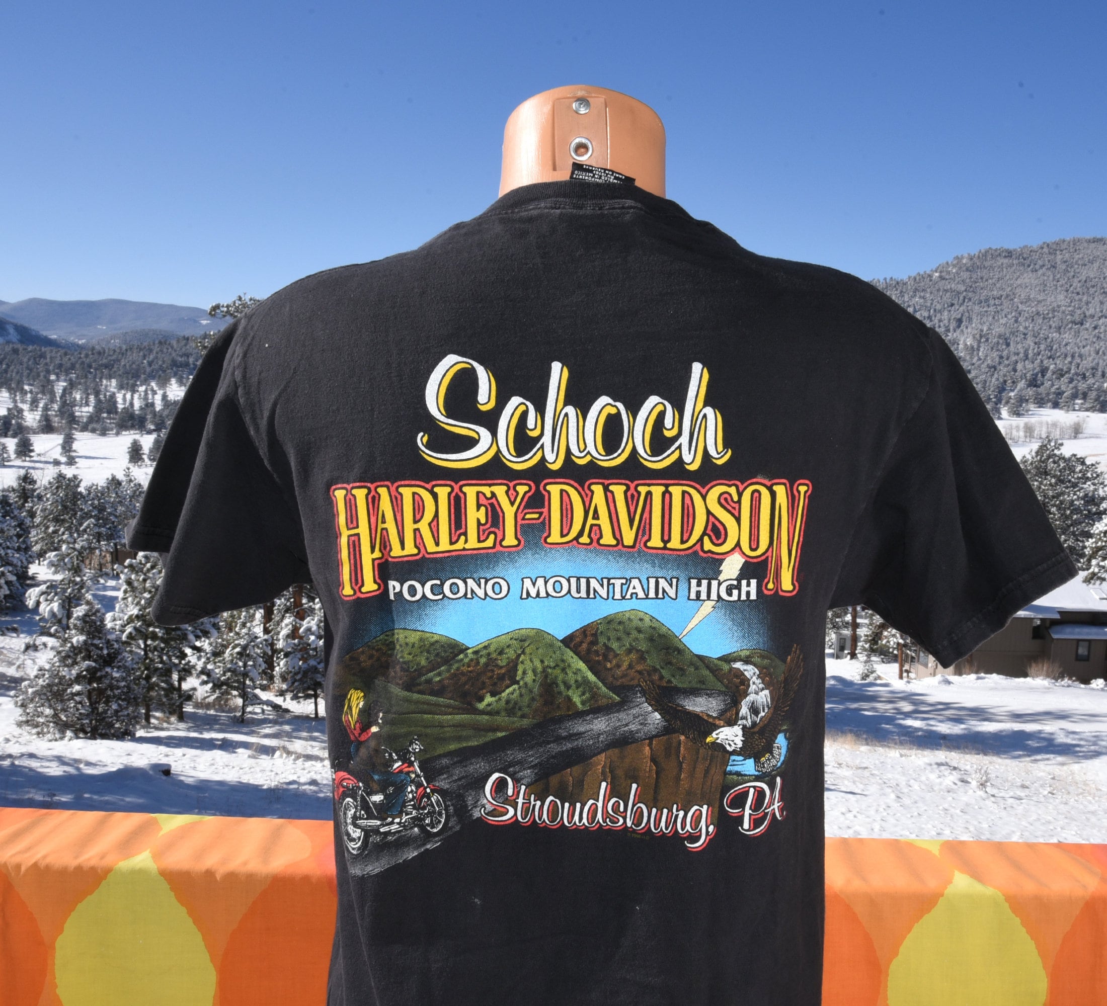 Vintage 00s HARLEY Davidson T-shirt Pocono Biker Motorcycle Black