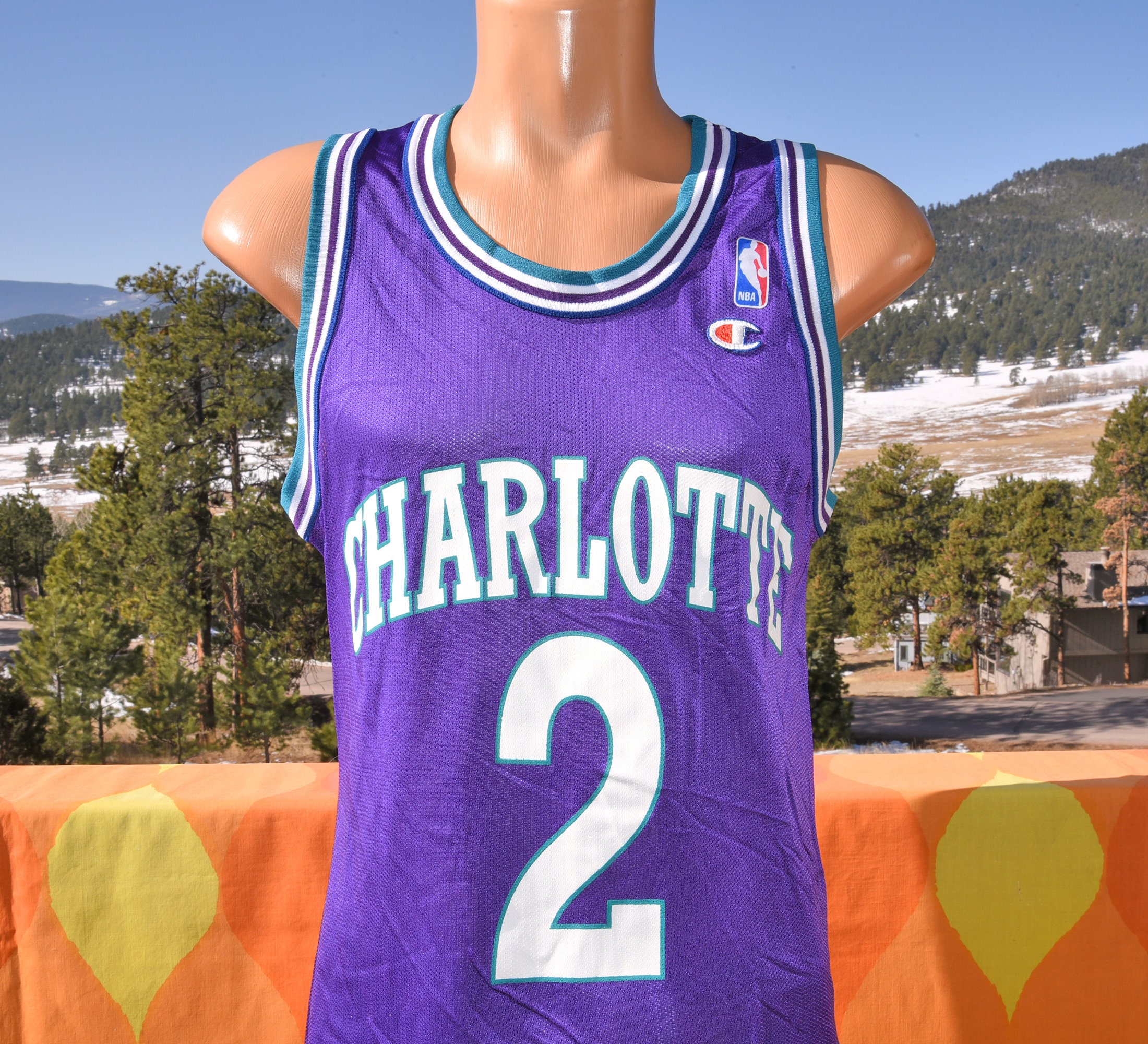 Mitchell & Ness Men's Swingman Jersey Charlotte Hornets Alternate 1994-95 Larry Johnson, Purple / M