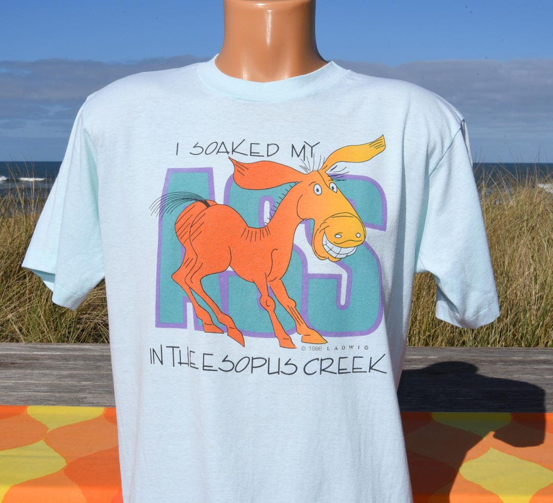 Vintage 80s Tee ESOPUS CREEK Town Tinker Tube Raft T-shirt Large