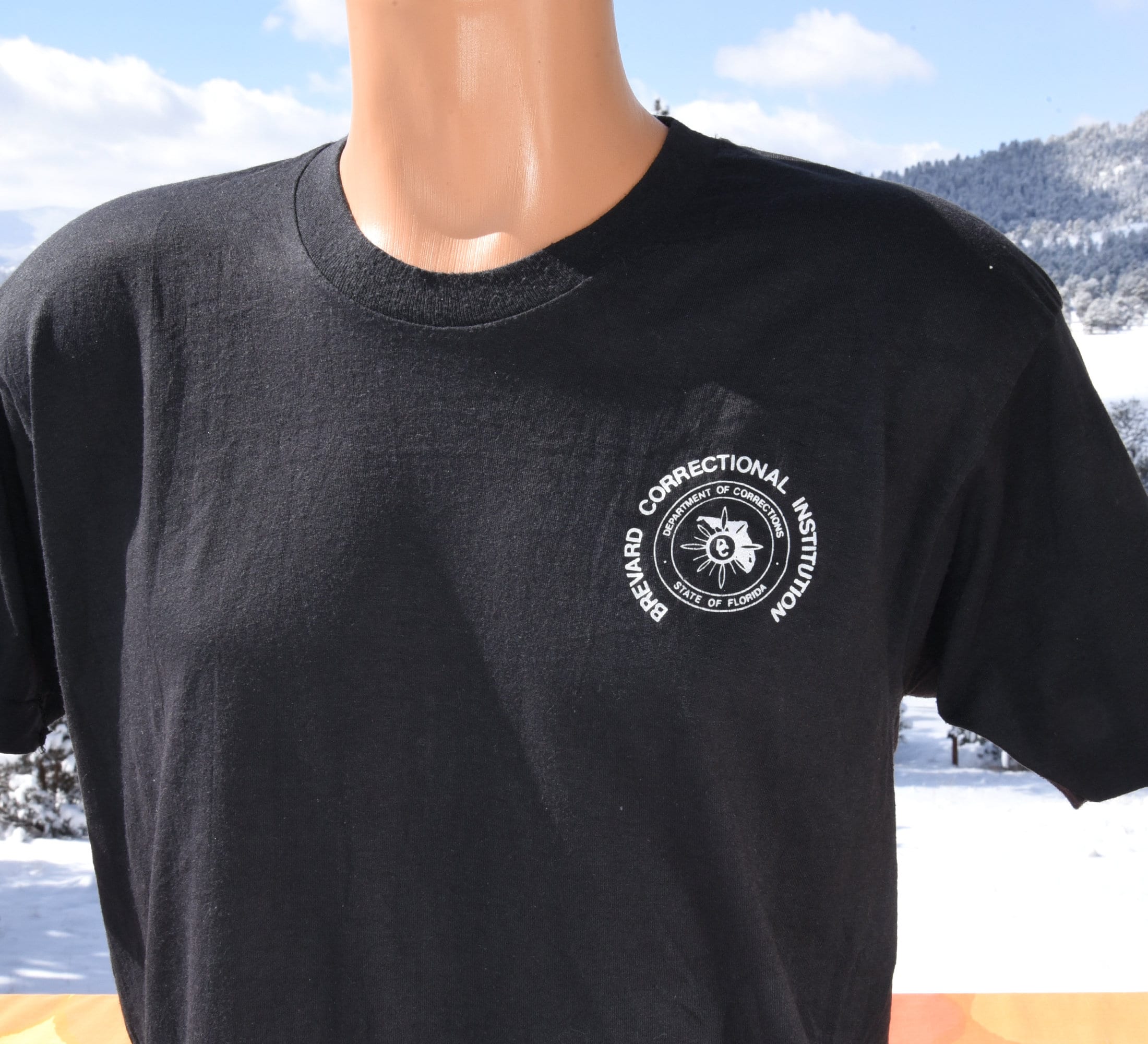 Vintage 80s T-shirt BREVARD Correction Jail Prison Tee Large XL