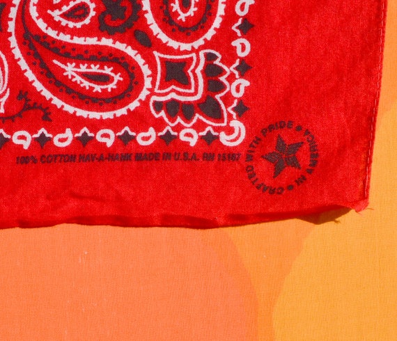 Carolina Creative XL Paisley Bandanna - Red (35x35) - Hav-A-Hank