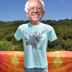 May include: Light blue t-shirt featuring a detailed illustration of a moose with large antlers. The graphic is in shades of gray and black, with the word "Vermont" in a script font. The shirt is displayed outdoors.