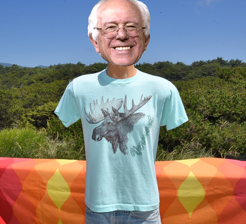 May include: Light blue t-shirt featuring a detailed illustration of a moose with large antlers. The graphic is in shades of gray and black, with the word "Vermont" in a script font. The shirt is displayed outdoors.