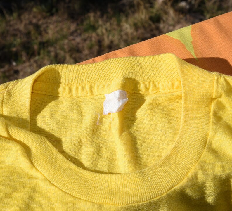 Pu&ograve; includere: Una maglietta gialla con collo rotondo e un'etichetta bianca cucita nel collo.