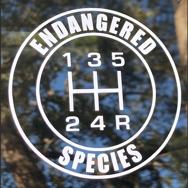 Speed Stickers - Etsy
