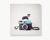 Quirky animal camera photo canvas wall art, kids wall art, canvas gallery wrap, collie dog photo, nursery wall art - The Collie and Diani