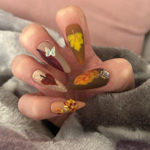 May include: A hand displaying long, pointed fingernails with autumn-themed nail art. Designs include leaves in shades of brown, gold, and orange, a butterfly, and glitter accents. The nails are set against a soft, gray, textured background.