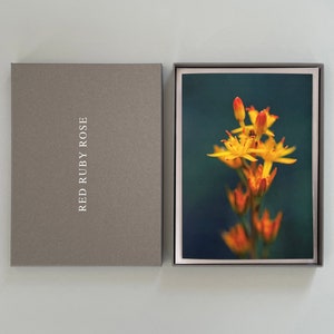 Großes Grußkartenbox-Set - sechs originelle Designs mit Umschlägen. Brights-Kollektion